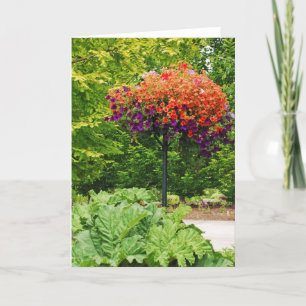 Colourful petunia flower basket greeting card