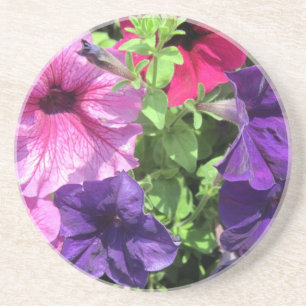 Colourful Petunias Coaster