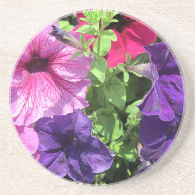 Colourful Petunias Coaster (Front)