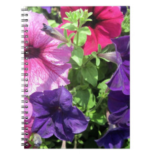 Colourful Petunias Notebook