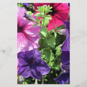 Colourful Petunias Stationery