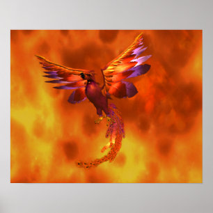 Colourful Phoenix Flying Against a Fiery Backgroun Poster