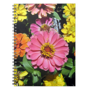 Colourful Photo Notebook