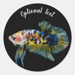 Colourful Planket Betta Fighting Fish Classic Round Sticker