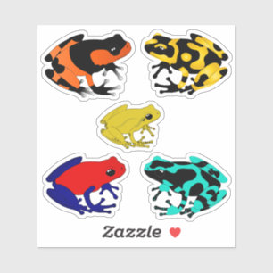 Colourful Poison dart frogs