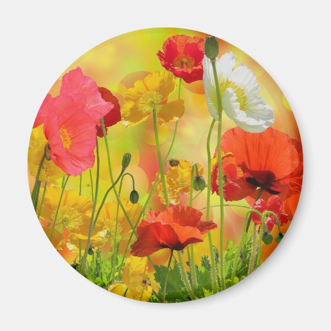 Colourful Poppies Magnet (Front)