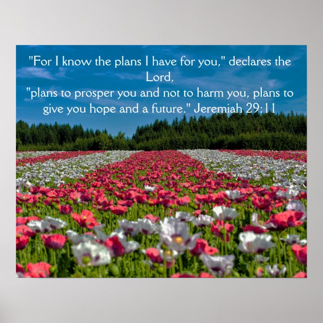 Colourful Poppy Field Photo Bible Verse Poster (Front)