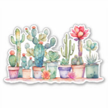 Colourful Potted Cacti And Succulents
