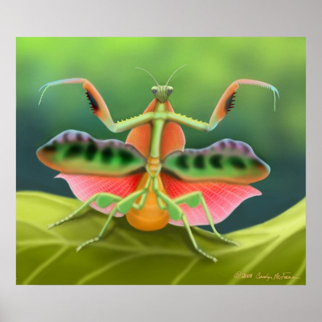 Colourful Praying Mantis Bug Poster (Front)