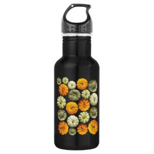 Colourful Pumpkin Halloween Fall Pattern 532 Ml Water Bottle