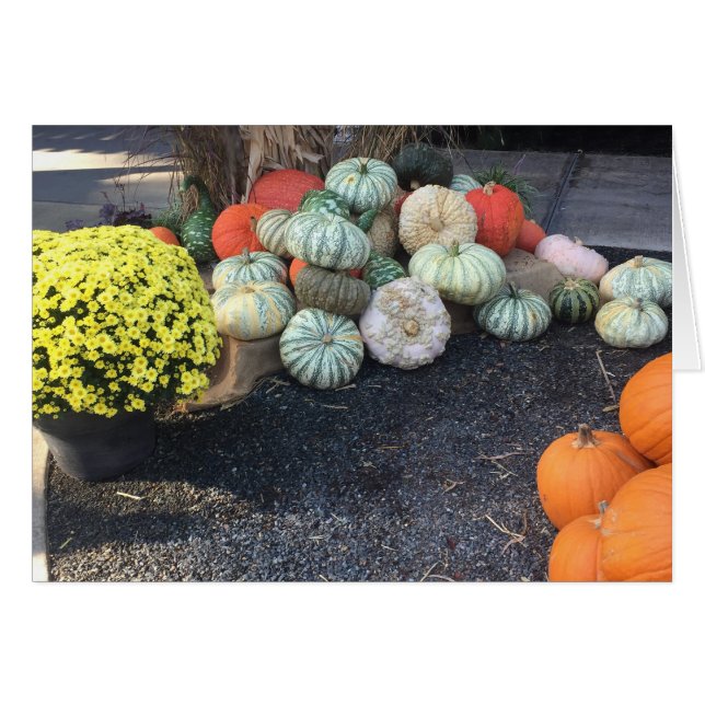 Colourful Pumpkins (Front Horizontal)