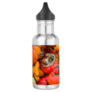 Colourful pumpkins 532 ml water bottle