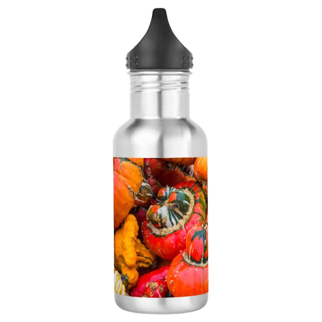 Colourful pumpkins 532 ml water bottle (Left)