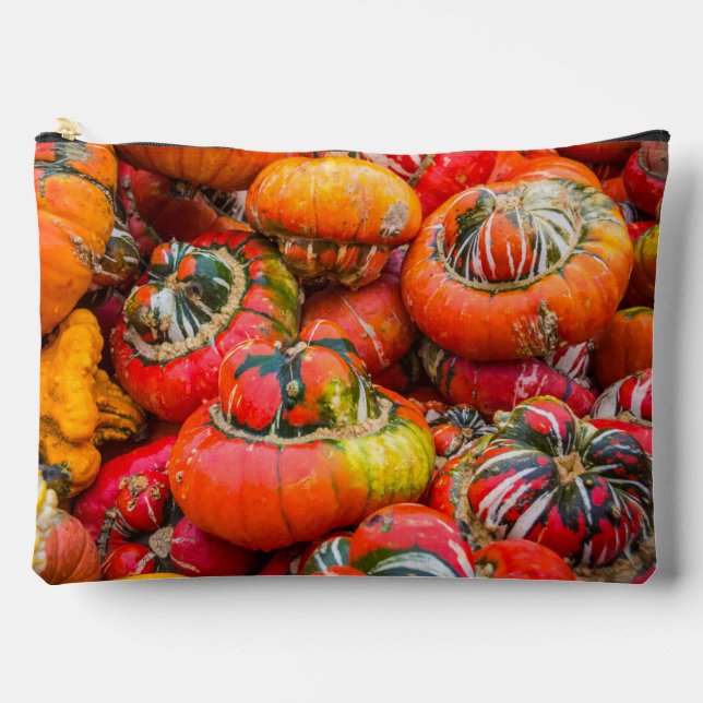 Colourful pumpkins accessory pouch (Front)