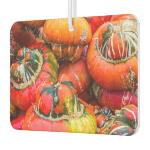 Colourful pumpkins car air freshener