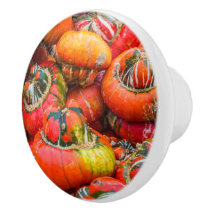 Colourful pumpkins ceramic knob