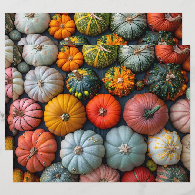 Colourful Pumpkins Gourds Squash Scrapbook Paper (Front/Back)
