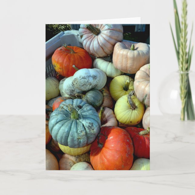 Colourful pumpkins greeting card (Front)