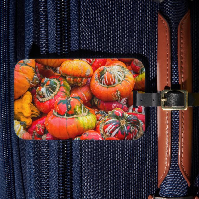 Colourful pumpkins luggage tag (Front Insitu 4)