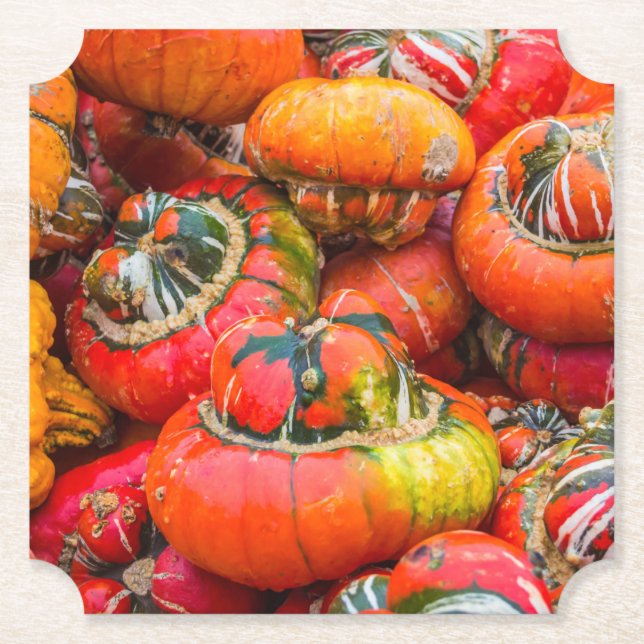 Colourful pumpkins paper coaster (Front)