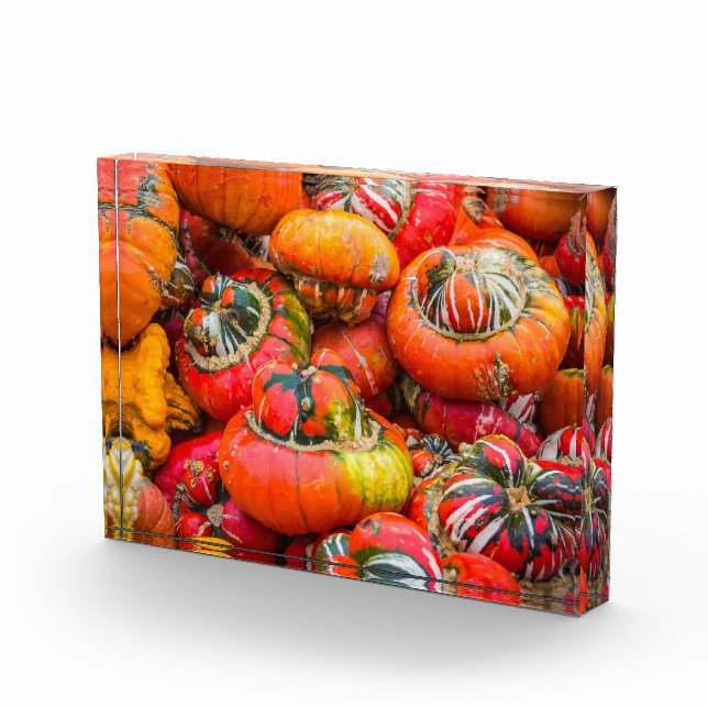 Colourful pumpkins photo block (Right)