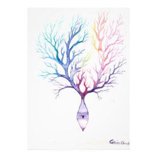 Colourful Purkinke neuron Photo Print