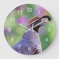 Colourful Quail