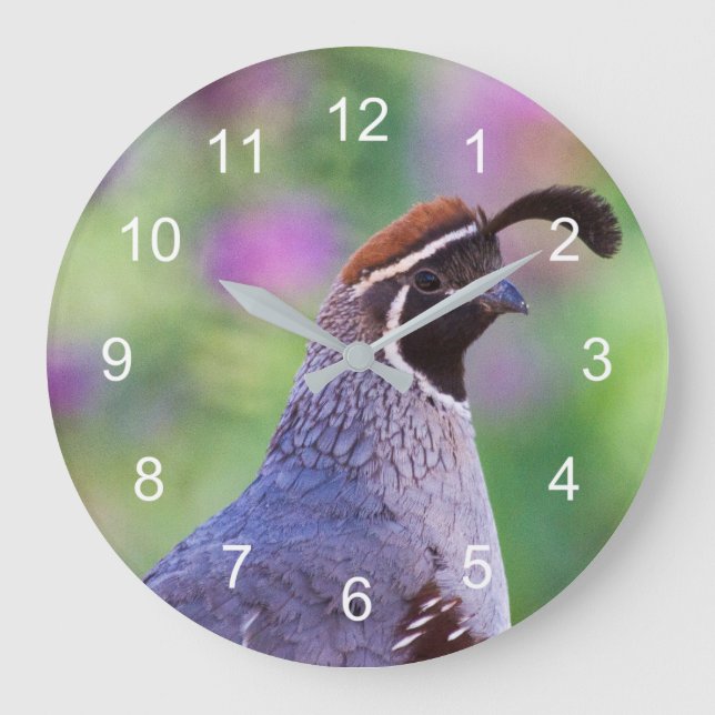 Colourful Quail Large Clock (Front)