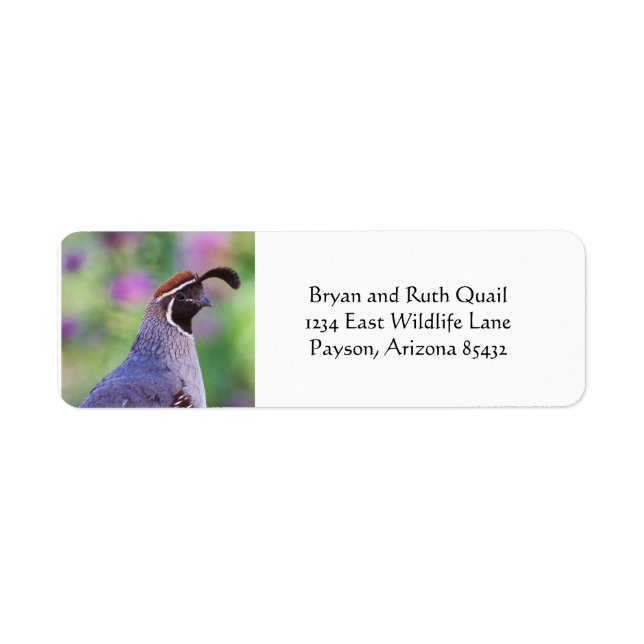 Colourful Quail Return Address Label (Front)