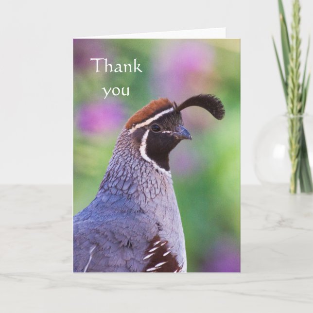 Colourful Quail, Thank you (Front)