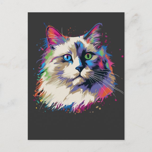 Colourful Ragdoll cat Postcard (Front)