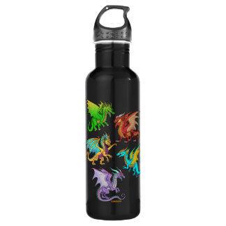 Colourful Rainbow Dragons School 710 Ml Water Bottle