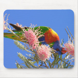 Colourful Rainbow Lorikeet Bird Eating Nectar Mouse Pad