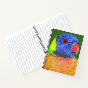 Colourful Rainbow Lorikeet Parrot Notebook