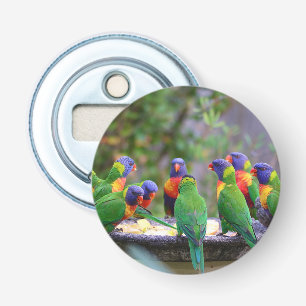 Colourful Rainbow Lorikeet Parrots Eating Bottle Opener
