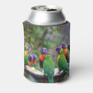 Colourful Rainbow Lorikeet Parrots Eating Can Cooler