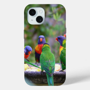 Colourful Rainbow Lorikeet Parrots Eating iPhone 15 Case