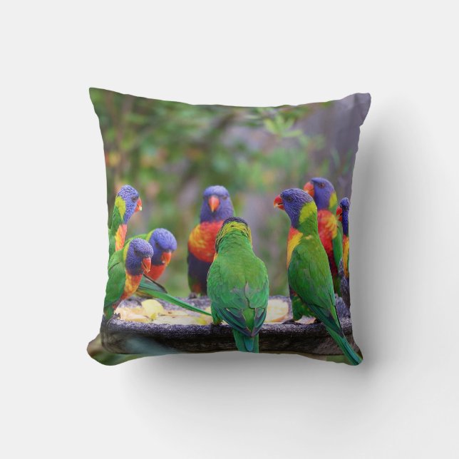 Colourful Rainbow Lorikeet Parrots Eating Cushion (Front)