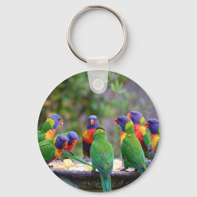 Colourful Rainbow Lorikeet Parrots Eating Key Ring (Front)