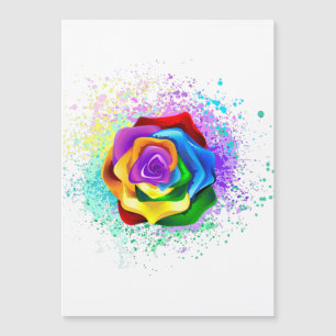 Colourful Rainbow Rose
