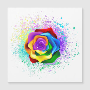 Colourful Rainbow Rose