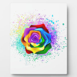 Colourful Rainbow Rose Plaque