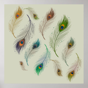 Colourful Realistic Peacock Feather Pattern Poster