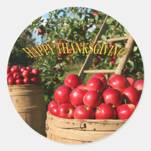 Colourful Red Apple Harvest Thanksgiving Classic Round Sticker