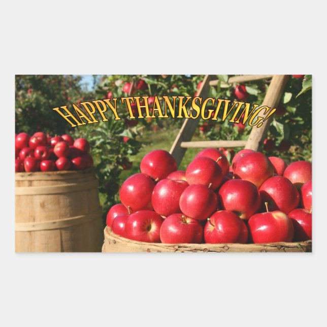 Colourful Red Apple Harvest Thanksgiving Rectangular Sticker (Front)