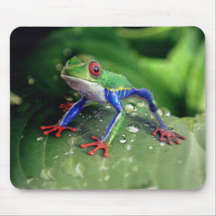 Colourful Red Eye Tree Frog on Plant Leaves Mouse Pad