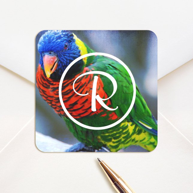 Colourful red green blue lorikeet bird monogram square sticker (Creator Uploaded)