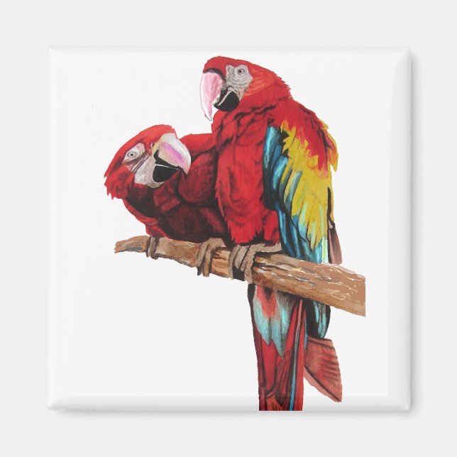 Colourful Red Macaw Watercolor Painting Design Magnet (Front)