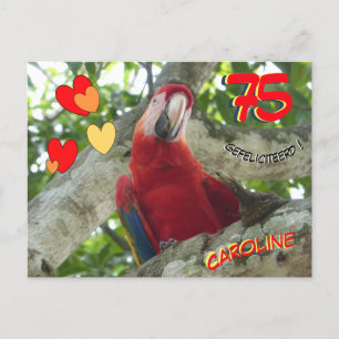 Colourful Red Parrot 75 th Birthday Postcard
