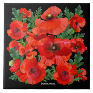 Colourful Red Poppies Ceramic Tile